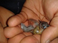 /album/galeria-de-fotos/a2012-08-23-15-44-32-jpg/